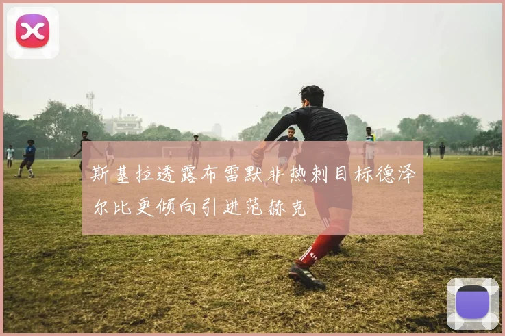斯基拉透露布雷默非热刺目标德泽尔比更倾向引进范赫克